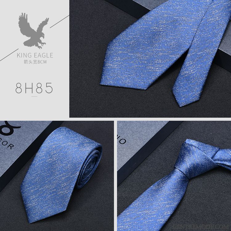 Cravate Homme Carrière Mode Vêtements De Cérémonie Boite Cadeau Entreprise Haut Grade Bleu
