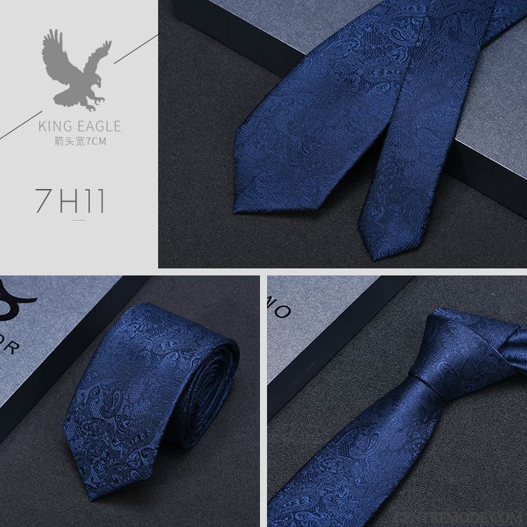 Cravate Homme Carrière Mode Vêtements De Cérémonie Boite Cadeau Entreprise Haut Grade Bleu