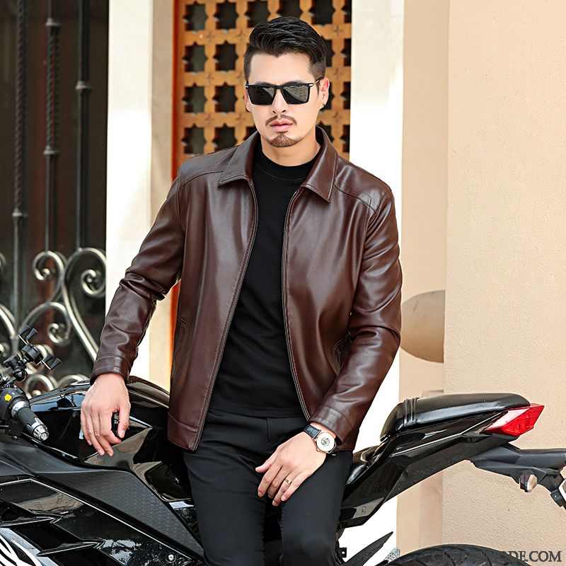 Blouson Cuir A Capuche, Blouson Homme Cuir Noir Steelblue Seashell