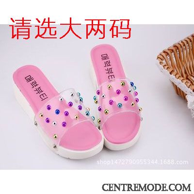 Chausson Femme Pas Cher Papayawhip Vert Printanier, Achat Chaussure Chausson Femme En Ligne