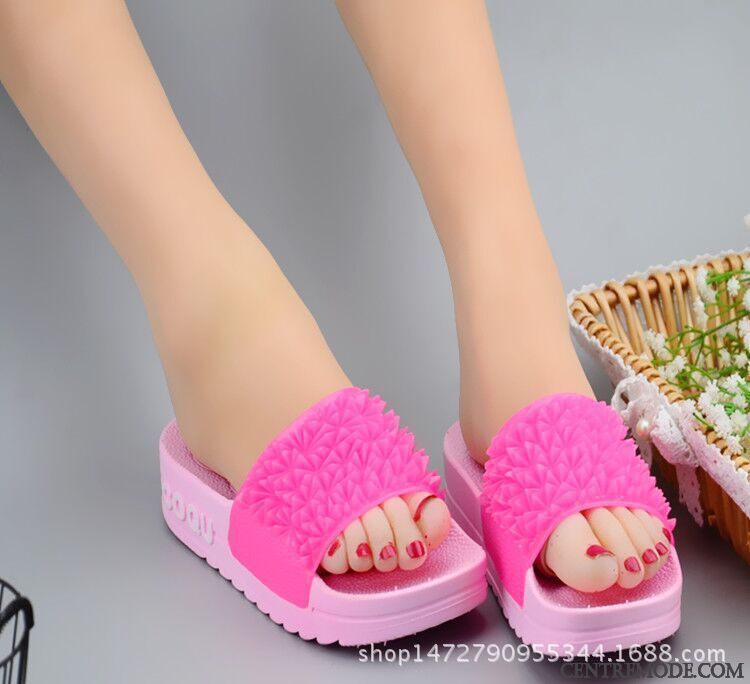 Chausson Femme Pas Cher Papayawhip Vert Printanier, Achat Chaussure Chausson Femme En Ligne