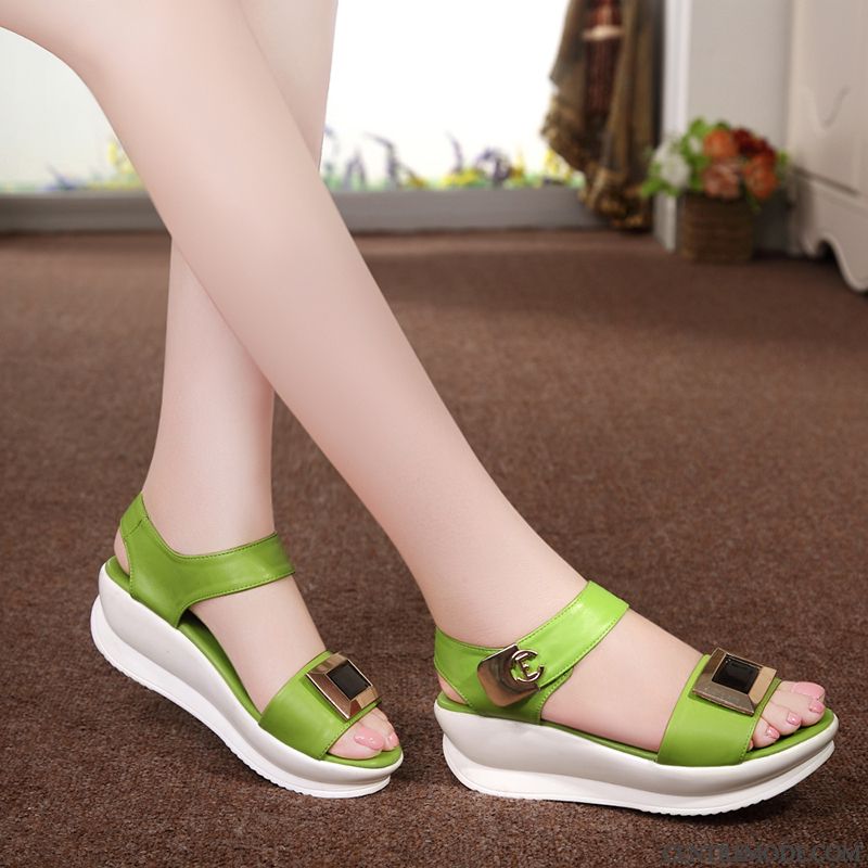 Chaussure Confort Femme Pas Cher Vert D'eau Seagreen, Sandales Femme Cuir Marron Pas Cher