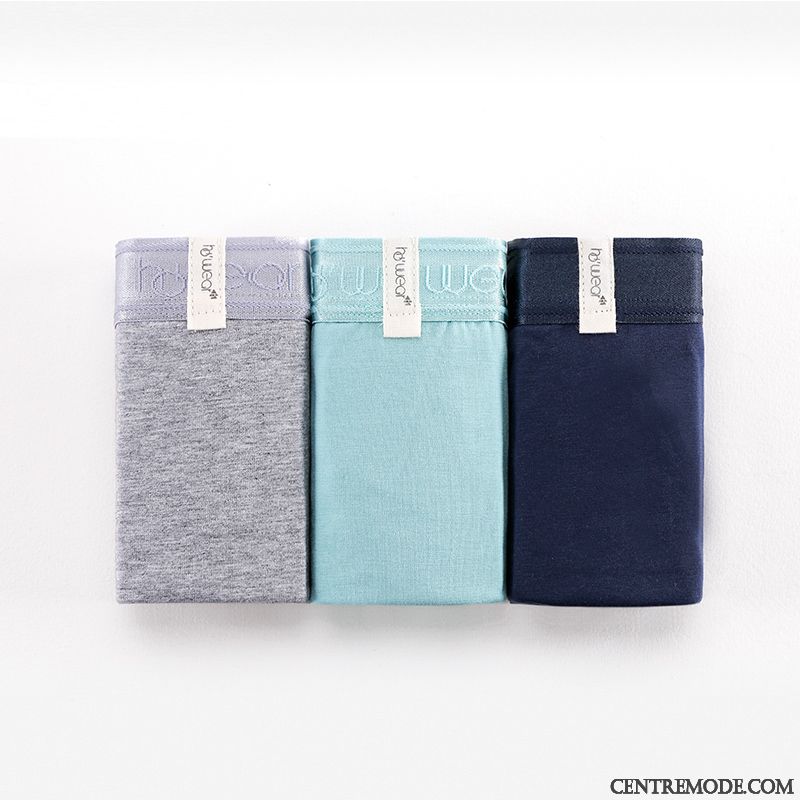Sous-vêtements Violet Homme, Sweat Homme Capuche Pas Cher Beige Sable Bleu Royal
